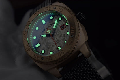 Parma 2 Bronze 2824 45mm Meteorite